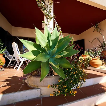 411 Casa Oystra Apartment Lagos