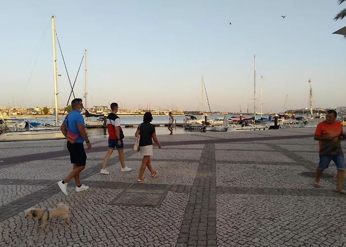 411 Casa Oystra 公寓 *