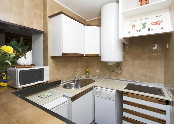 411 Casa Oystra 公寓