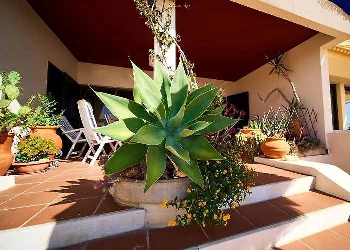 411 Casa Oystra 公寓 拉哥斯